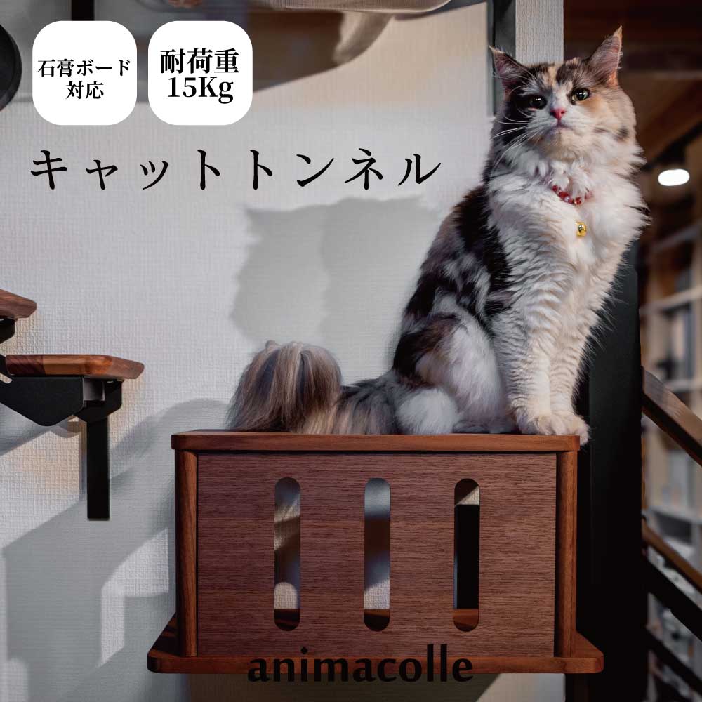ｽｰﾊﾟｰSALE 6/4 20:00～6/11 01:59制限事項 10%オフクーポン 離れ離れ【moku to.  キャットトンネル 猫  ｳｫﾙﾅｯﾄ】  堅苦しさ 貨物輸送無料 キャットウォーク 賃貸借契約 キャットステップ 壁後ばらい キャットタワー か細い 日本製 木製 安全性のある 棚 焼セッコウゲーム盤 根拠なし