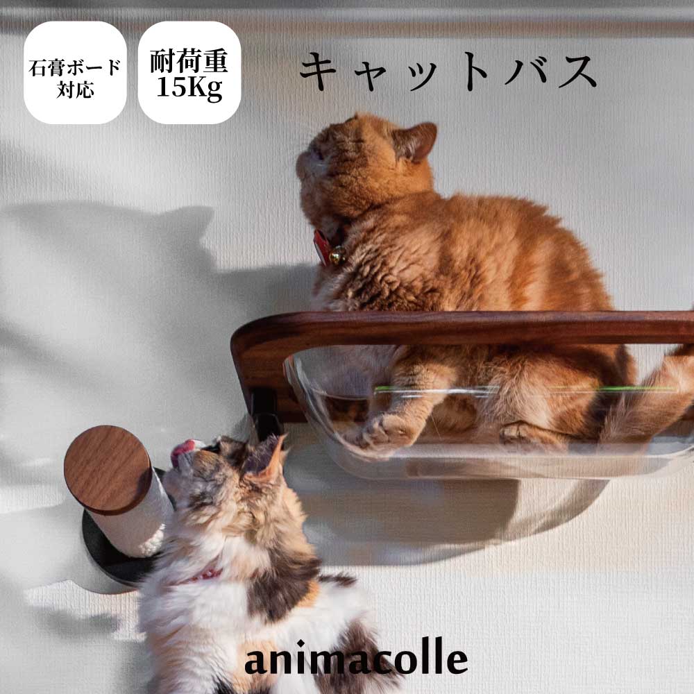 ｽｰﾊﾟｰSALE 6/4 20:00～6/11 01:59制限事項 10%オフクーポン 離れ離れ【moku to. キャットバス ウォール中毒者】堅苦しさ 貨物輸送無料 キャットウォーク 賃貸借契約 キャットステップ キャットタワー 日本製 安全性のある 壁付 焼セッコウゲーム盤 木製 澄み切った クリアボウル 恒星船