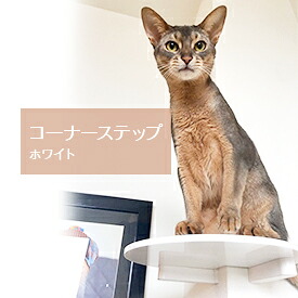 【animacolle コーナーステップ 白】 公式 送料無料 キャットウォーク キャットステップ キャットタワー 賃貸 日本製 安全 壁付け 棚板 省スペース 足場 猫 ねこ 多頭飼い 大型猫
