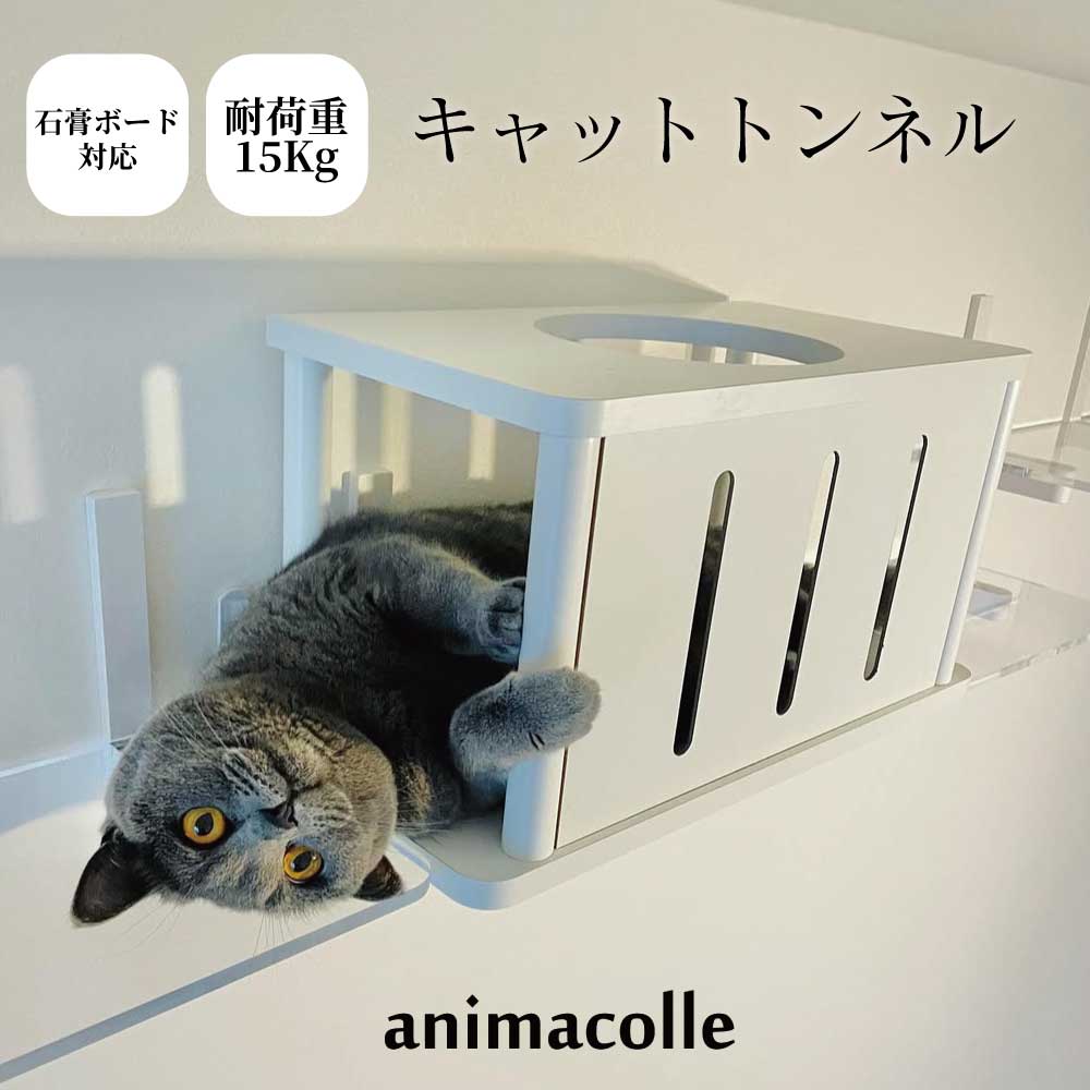 楽天市場】【animacolle クールカバー キャットステップ（幅350mm専用
