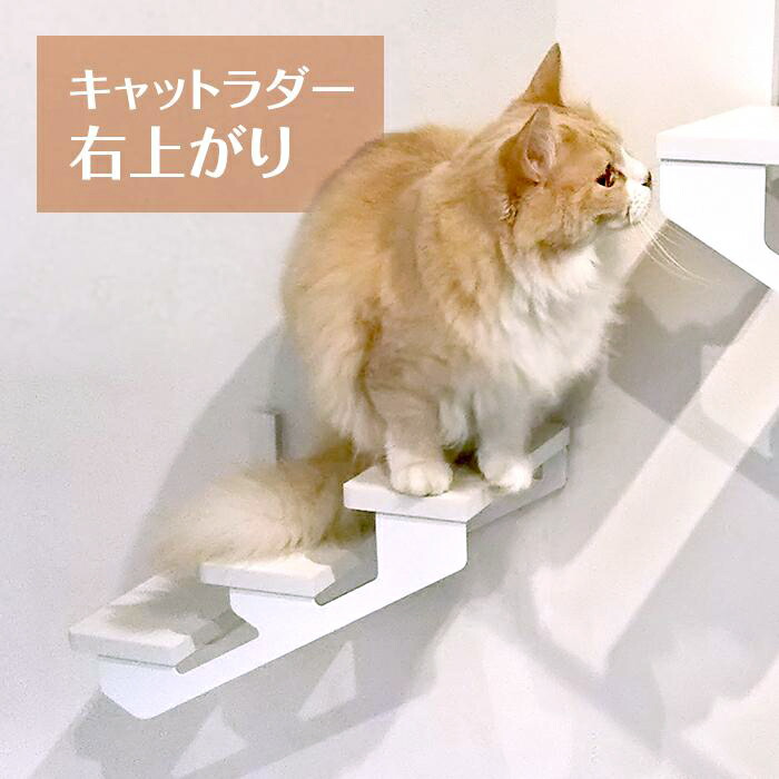 【animacolle キャットラダー 右上り R】公式 送料無料  キャットウォーク キャット ステップ キャットタワー 階段 はしご 猫の家具 インテリア 日本製 国産 壁  簡単 ｱﾆﾏｺﾚ 賃貸