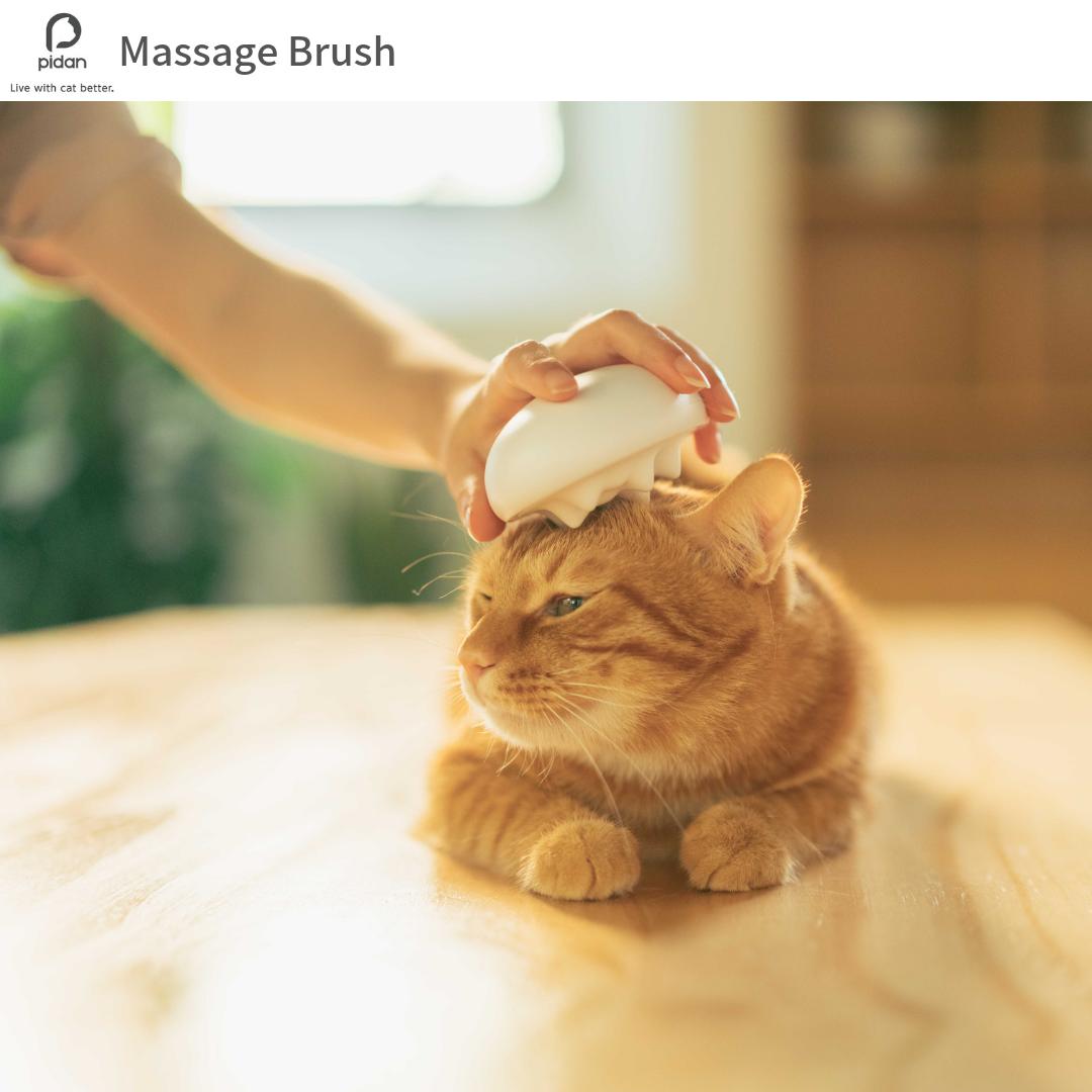 楽天市場 Pidan ピダン 猫ブラシ Massage Brush 猫用ブラシ ブルー ねこブラシ 猫 おもちゃ 雑貨 ネコグッズ ペット ペットグッズ 動物 猫グッズ 猫 ネコ ペット アニマコレ Animacolle