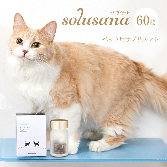 楽天市場】【犬 猫 サプリメント】送料無料 solusana本体 60粒 