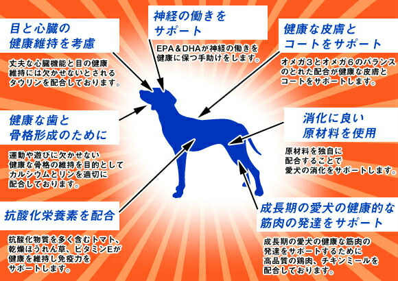 送料無料 送料無料 ナチュラルバランス スウィートポテト フィッシュ 5 45kg ３袋セット ドッグフード ドライフード おまけ付き オールステージ 全犬種 超小型犬 小型犬 中型犬 大型犬 子犬用 成犬用 高齢犬用 全年齢 対応 牛肉 鶏肉 ラム肉 アレルギー 犬 健康