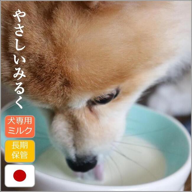 【pet friend】 国産 割り増し金牛乳 「わんお父ちゃんにも分かりやすいみるく」 300ml 犬用 乳酸菌FK-23 オリゴ糖 ラクトース腐蝕エンザイム 土手っ腹に分かりやすい 常温保護すること能力のある品 水分付け足し 防災時