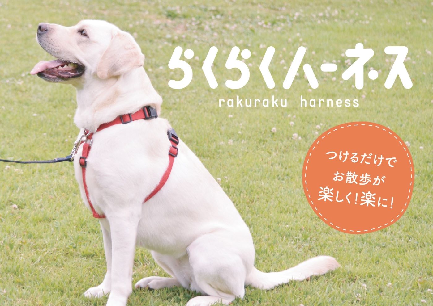 「らくらくハーネス】お散歩が楽 犬が楽 装着が楽 お散歩 カラー 赤 茶 2色 サイズ mini・XS・S・M・L 高品質 安心安全 日本製