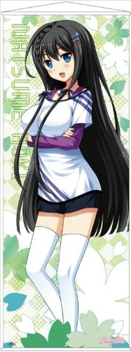 楽天市場】Free！ 等身大ポスター ＆ エンディング集 side 橘