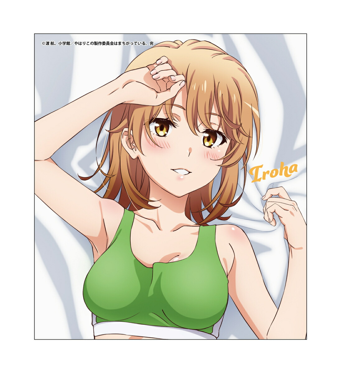 楽天市場】やはり俺の青春ラブコメはまちがっている。完 描き
