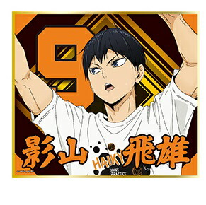 楽天市場】ハイキュー!! 合同練習会2020 選手ポスター 影山飛雄 単品