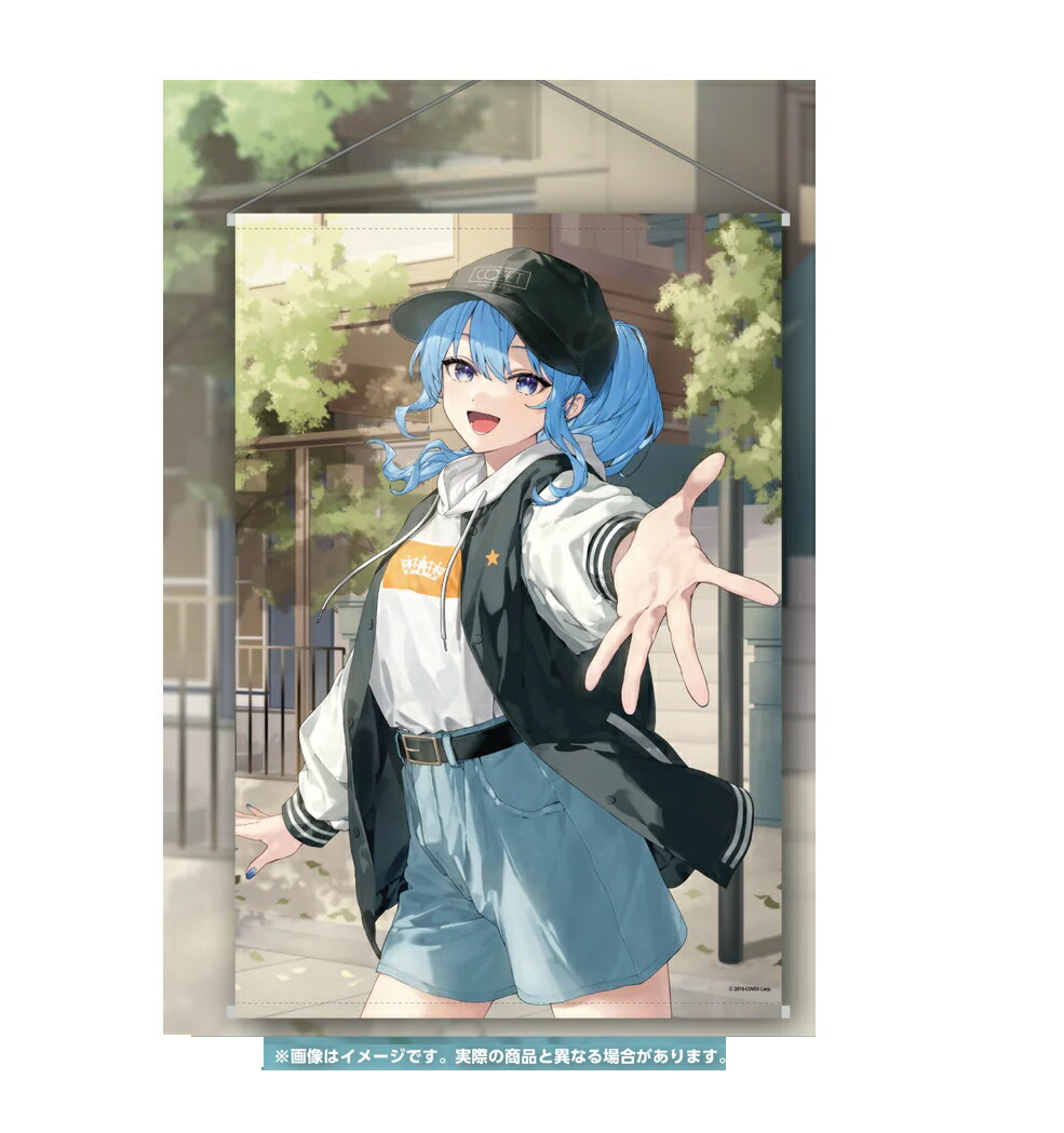 【ホロライブ】タペストリー ホロライブ 常闇トワ ラプラス・ダークネス タペストリー - メルカリ