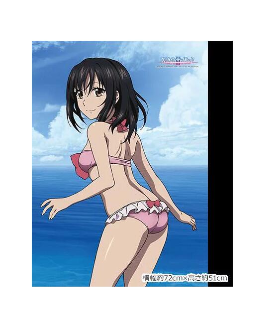 【新品】ストライク・ザ・ブラッド B2タペストリー 雪菜 水着 タペストリー画像