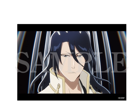 楽天市場】BLEACH 千年血戦篇 スナップマイド 平子真子 砕蜂 3枚セット