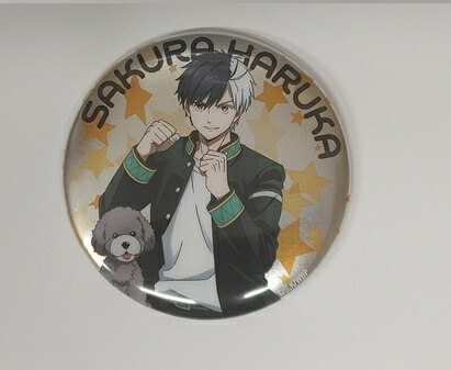 楽天市場】WIND BREAKER ウィンドブレーカー グリッター缶バッジ 兎耳