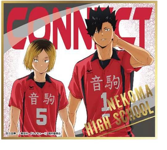 ハイキュー　ビジュアル色紙コレクション　夏　日向翔陽　孤爪研磨 楽天市場】ハイキュー!! ビジュアル色紙コレクション 4 孤爪研磨 単品