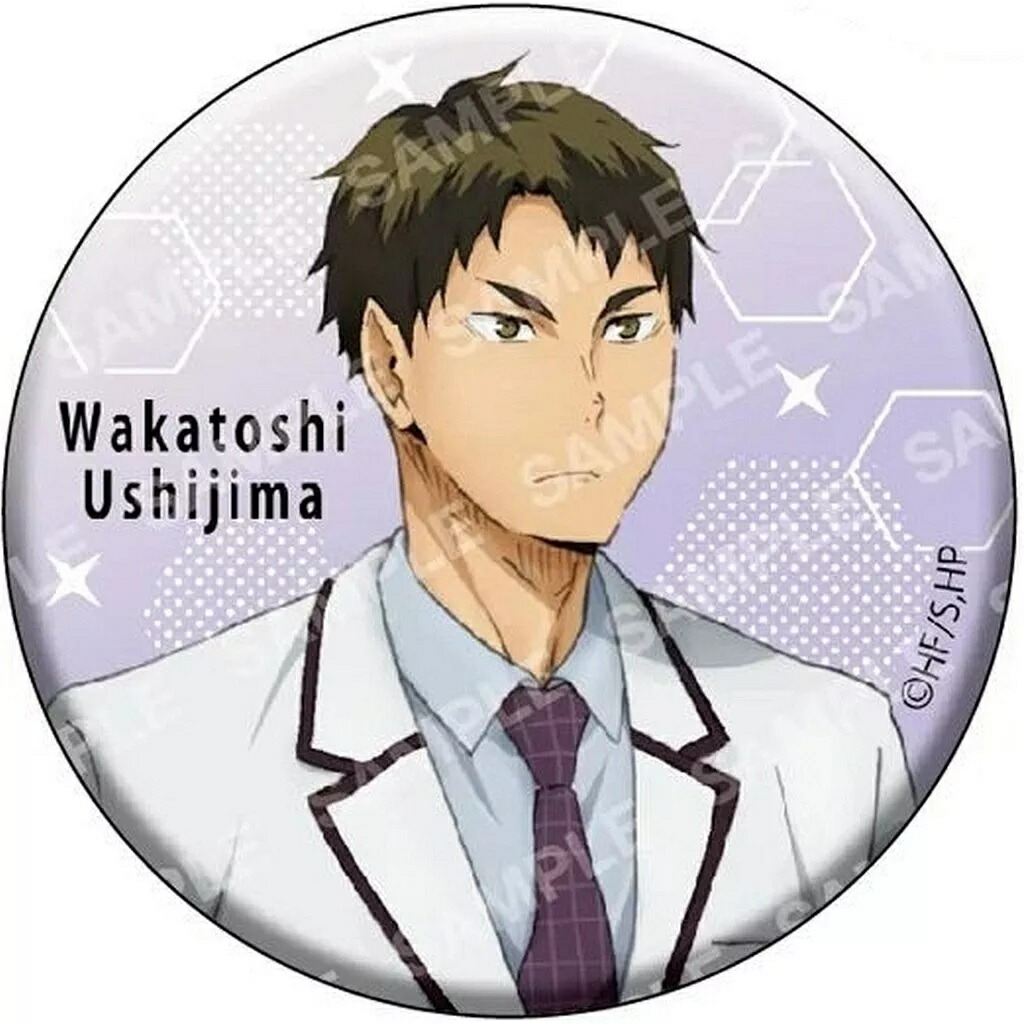 楽天市場】ハイキュー!! 缶バッジコレクション(A)-お天気版権 第一弾