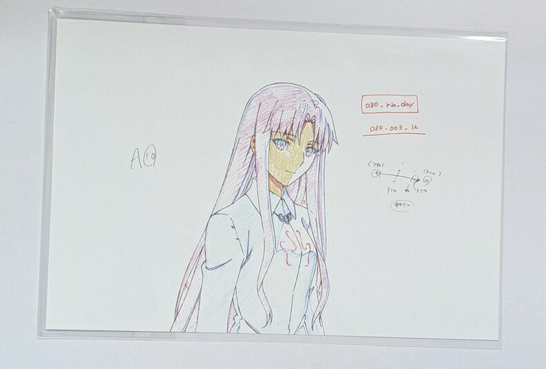 Fate ランチョンマット 2枚セット 遠坂凛 Fate ランチョンマット 2枚セット 遠坂凛 Amazon.co.jp