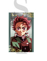 鬼滅の刃　フォトカード&ステッカー 鬼滅の刃 フォトカード＆ステッカーコレクション第1弾（全10種） : 鬼