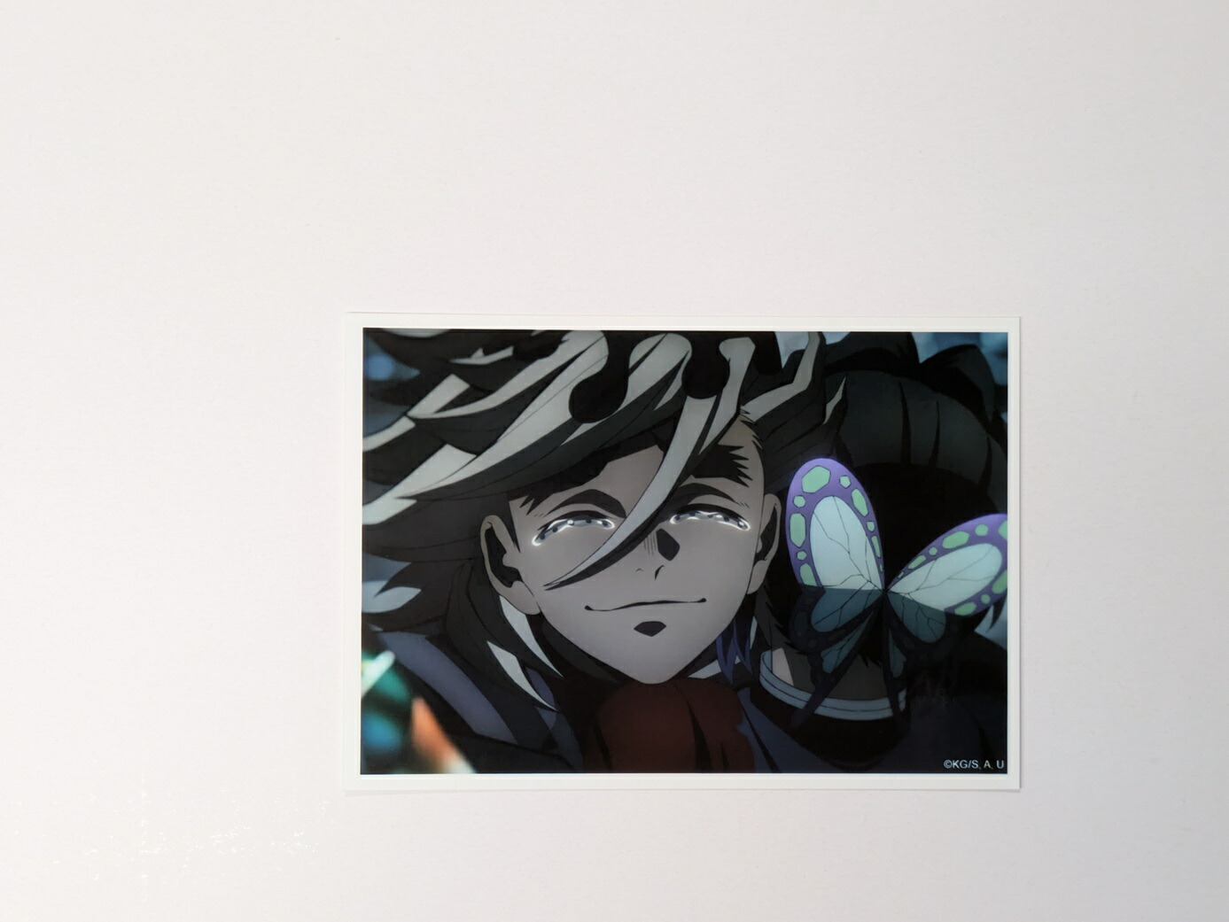 鬼滅の刃　ufotable 場面写ブロマイドくじ　鬼舞辻無惨　女無惨 鬼滅の刃〈鬼舞辻無惨 産屋敷耀哉〉柱稽古編 OP 場面写