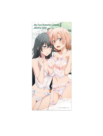 やはり俺の青春ラブコメはまちがっている。続　雪乃＆結衣(着替え) ブランケット Amazon.co.jp: やはり俺の青春ラブコメはまちがっている。続