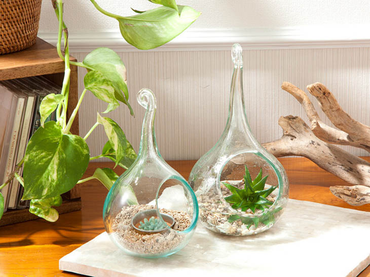 楽天市場 人気のボタニカルインテリアもアジアンにこだわってバリガラス製ハンギングテラリウム L Anisie