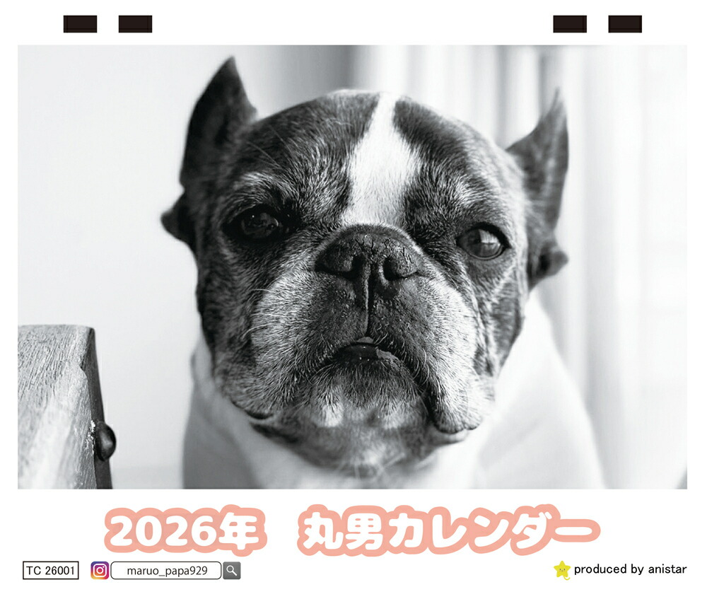 楽天市場】［公式］PICTWANカレンダー 2026年【S判】フレンチ