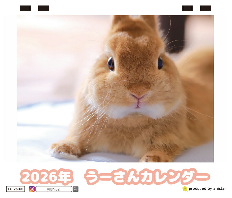 楽天市場】【予約販売】 うさぎのコガラナ天パのうさハムch 2026年