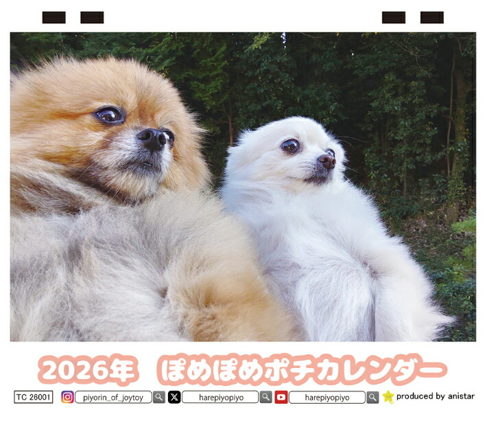 楽天市場】【予約販売】 ポメラニアンのマヨちゃんねる 犬 2026年 卓上