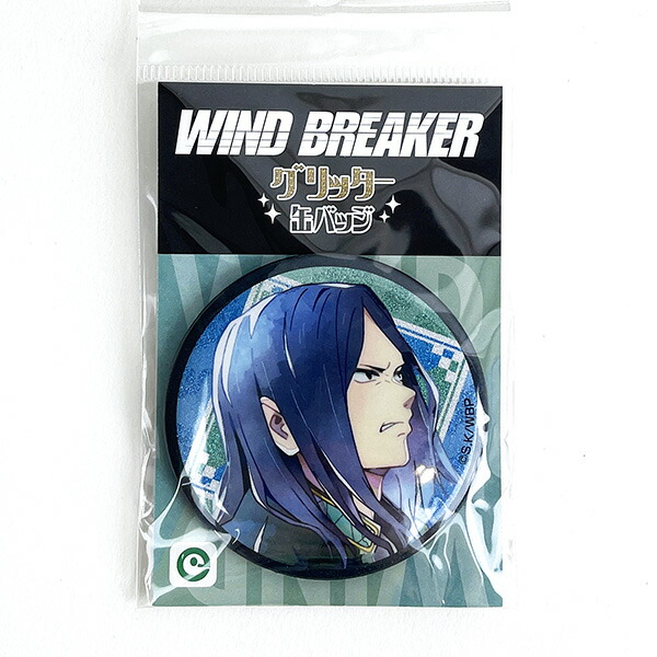 WIND BREAKER ウィンブレ ファボテリア グリッター缶バッジ 梅宮 一 Amazon.co.jp: WIND BREAKER グリッター缶バッジ 梅宮一9点
