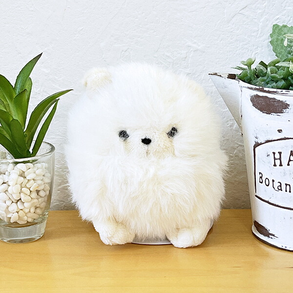 【新品】 ポメラニアンもち　しらたま　ぷりぬいマスコット　ぬいぐるみ Amazon.co.jp: ポメラニアンもち しらたま ぷりぬい : おもちゃ