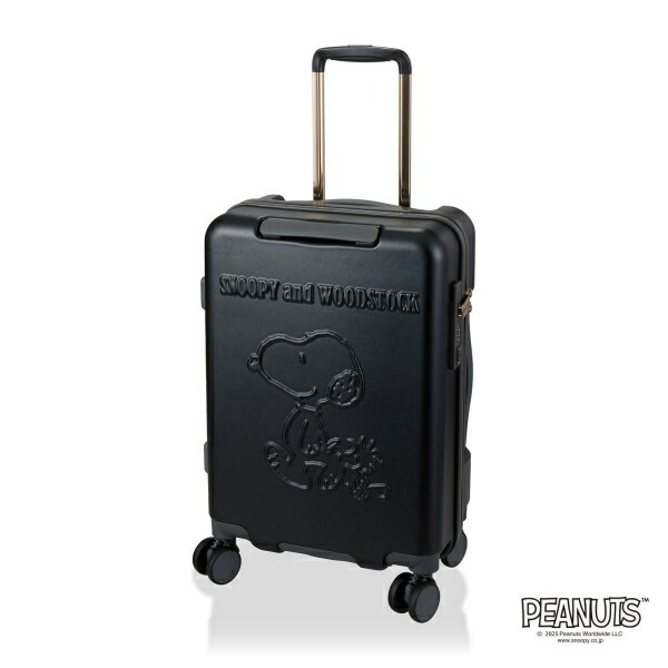 楽天市場】【SALE】【あす楽】【5泊-1週間】【送料無料】 エース(ACE