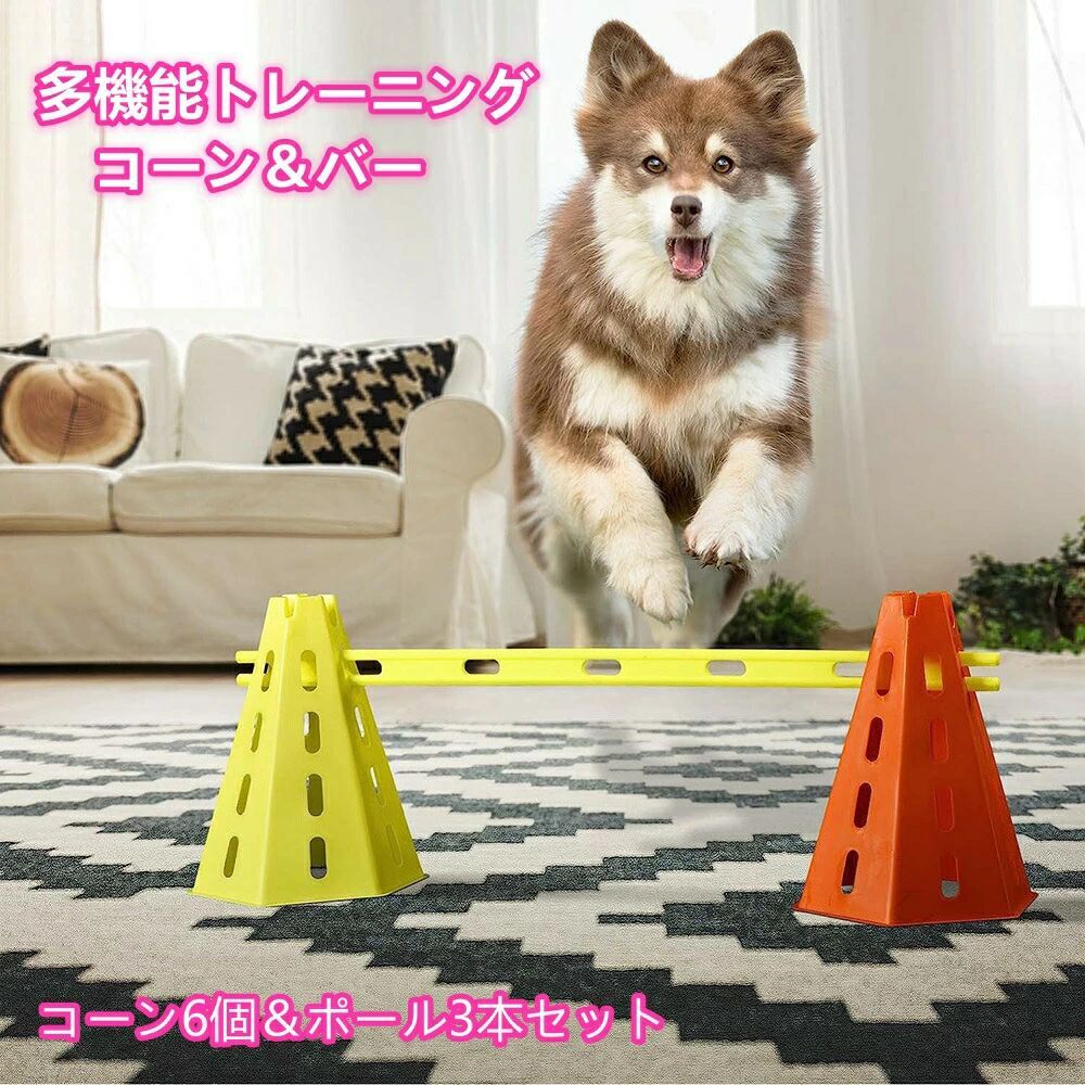 【貨物輸送無料】犬用 ハードル 飼い犬 ハードル 飛び降りる 赤ちょうちん 形づくる 読み合わせる 運動すること 物の具 高さ 合わせる 能力のある 運動場 用 息吹き 極点 唐きび 付き添い人 差しつかえ物 引きくらべる 高跳び 用 物の具 愛玩動物 運動すること 推しすすめる 装置