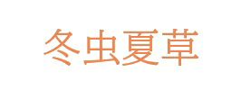 楽天市場】＼新生活応援キャンペーン／50％以上OFF 藤原 冬虫夏草 とう