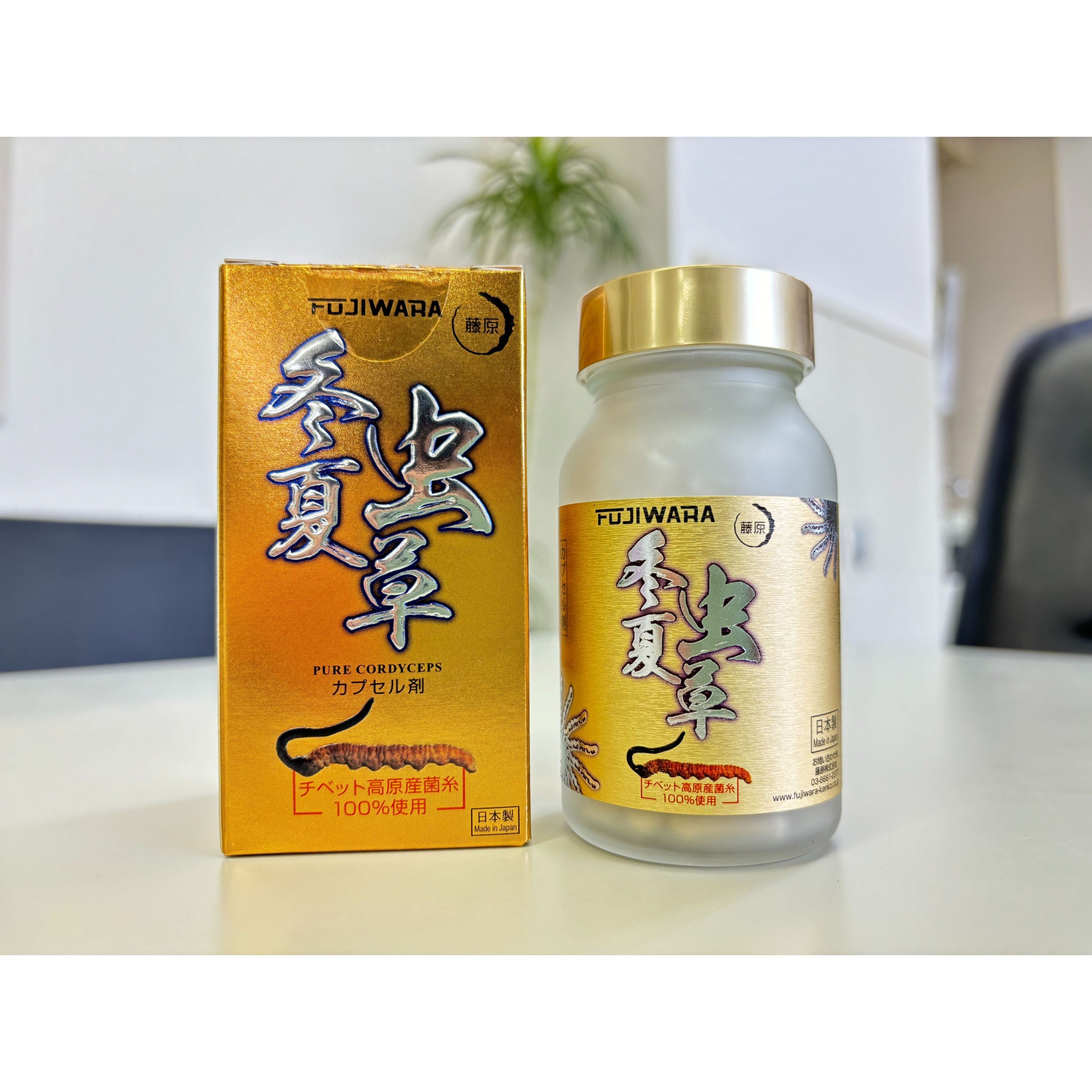 ＼新生活応援キャンペーン／【３個セット】 藤原 冬虫夏草 とうちゅうかそう 90粒入 3本 ゴールドシリーズ養生ギフト用 / チベット高原産冬虫夏草菌糸ハードカプセル 健康食品 サプリメント 栄養食品 美容 健康 送料無料