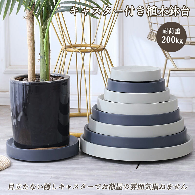 楽天市場】[ジェラート ピケ] KIDSカビゴンパーカー&ショートパンツ