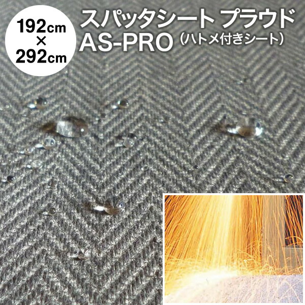 as-pro_ht192x292.jpg