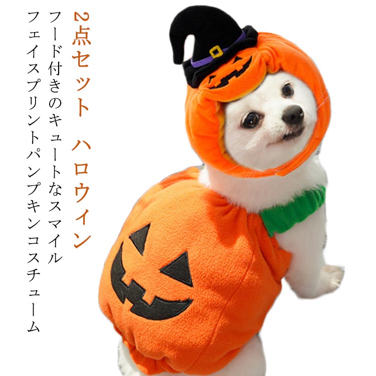 楽天市場】ペット帽子 ハロウィン 2点セット 小型犬 猫 かぼちゃ 犬