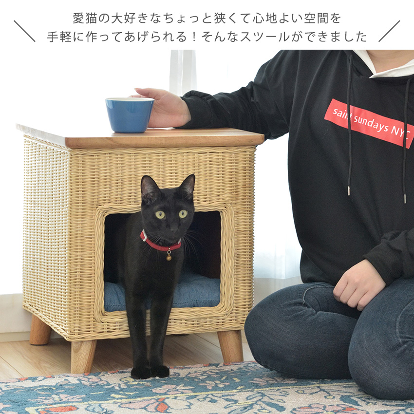日本 ペットスツール キャットハウス スツール 椅子 イス 完成品 いす チェア おしゃれ かわいい 猫 小型犬 ねこ ペット用品 ペットハウス ペットベッド リビング 玄関スツール 北欧 送料無料 家具 アンミン Fucoa Cl
