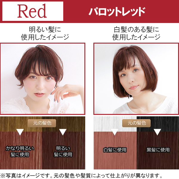 楽天市場 送料無料 エブリ ヘアカラー 医薬部外品 アンナドンナ Annadonna Every アッシュ ピンク カラー 紫 白髪染め レッド パープル エブリヘアカラー グリーン 緑 白髪 髪染め 青 ブルー ヘア 染め グレー カラーリング剤 女性用 ベージュ セルフカラー 毛染め