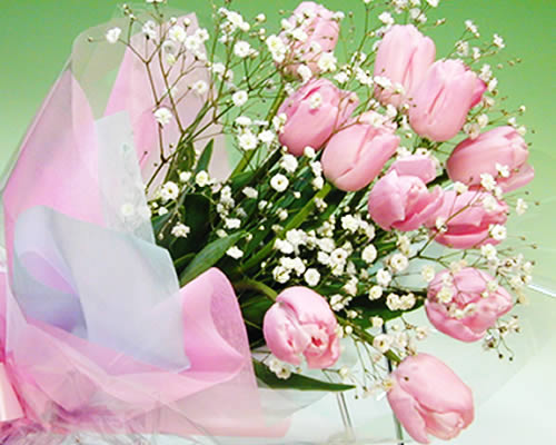 楽天市場 スプリング花 ギフト ピンクのチューリップとカスミソウのブーケ 歓迎 送迎 ホワイトデー 卒業 お祝い いつもアンのお花屋さん
