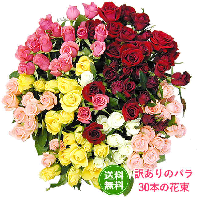 楽天市場 バラ 30本3980円 1本100円 ちょっと短いだけ 色が選べるバラ30本の花束 誕生日 お祝い 御祝 ギフト プレゼント 女性 ブーケ ローズ 訳あり 開店祝い 還暦祝い いつもアンのお花屋さん