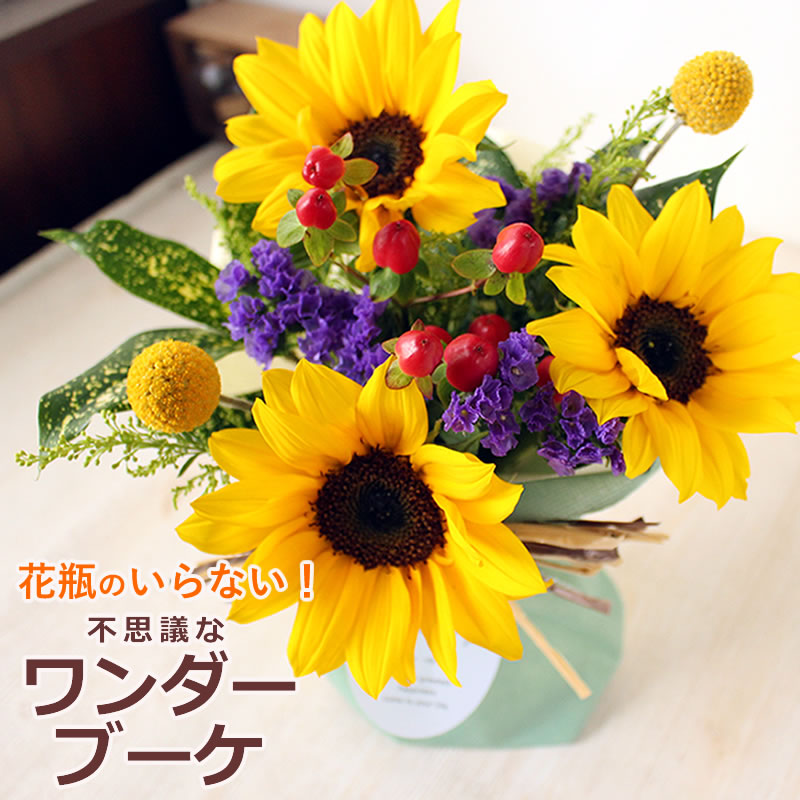 楽天市場】花 ギフト 大輪のひまわり10本の花束【送料無料