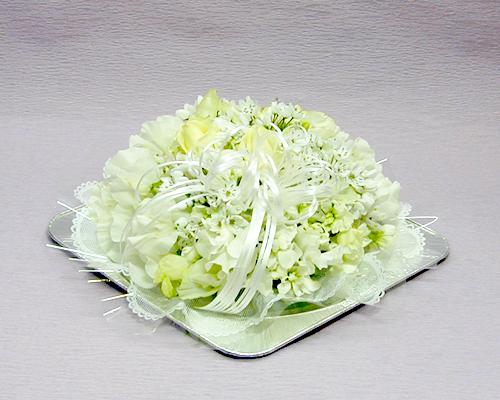 遅れてごめんね！母の日特集2026 花・観葉植物-花・ガーデン・DIY