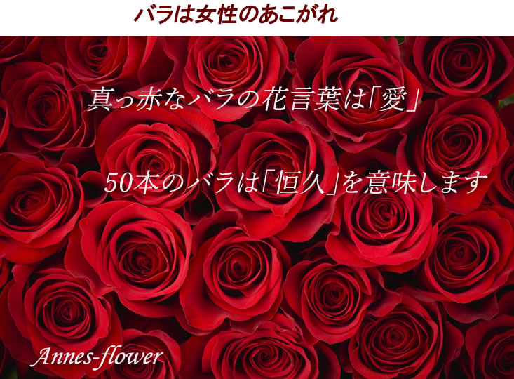 バラの花束 花束 切花 記念日 花束 いい夫婦の日 お誕生日 送料無料 いつもアンのお花屋さん プレゼント 退職祝い 結婚祝い ギフト お誕生日 プレゼント ギフト 結婚祝い 記念日 退職祝い いい夫婦の日 送料無料 お買い得赤バラ50本の花束 退職祝い