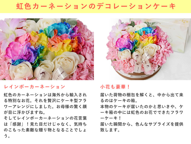 Mother21 後れてごめんね 垂乳根の月日 賜物 祝儀 送料無料 ハピネス叢書 レインボーカーネーション アレンジメント 華ツビーバック カーネション アレンジ Cannes Encheres Com