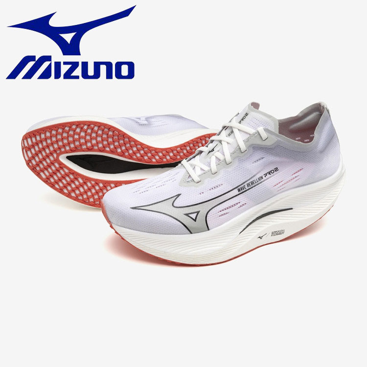 u1gd241711.jpg