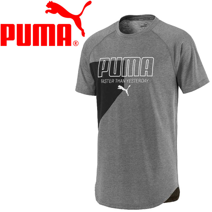 puma tshirt for men