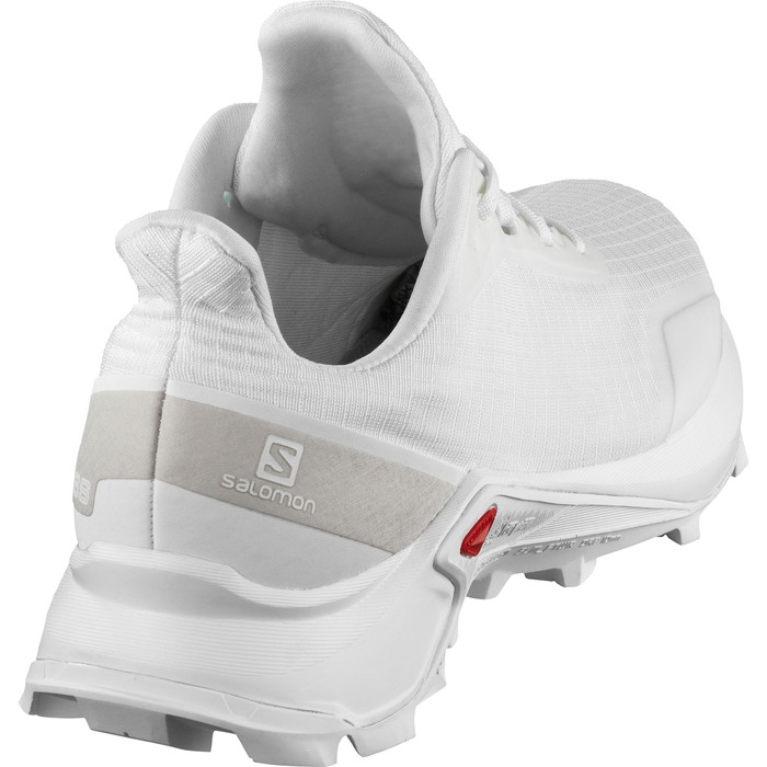 salomon alphacross w