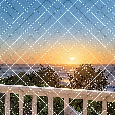 OFFO 強力防鳥ネット 幅4m×長さ10m 100％強力ナイロン採用切れにくい 家庭菜園 畑 いちご栽培 果樹園 ベランダ の鳥よけ・鳩避け・カラスよけ・スズメ対策・ムクドリよけなどの害鳥対策として大活躍 透明色で目立たない鳩よけネット 長さ方向に画像