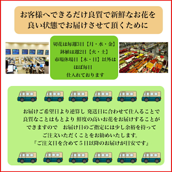 黄色いバラの花束【本数が選べる花束】薔薇生花赤バラ白バラ黄色バラピンクバラオレンジバラギフト【送料無料】お祝い薔薇20本30本50本60本100本108本敬老の日入学祝い父の日誕生日結婚記念日還暦プロポーズバラ薔薇の花束土曜日発送本数指定