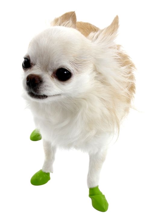 Paws ポウズ ラバー ドッグ ブーツ パウ パウズ 肉球 保護 防水 ライトグリーン Tiny 小型犬 12枚 天然ゴム 激安通販専門店